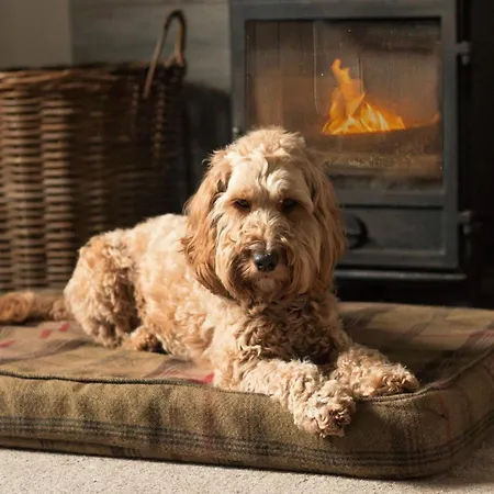 Woodcroft Ричмонд